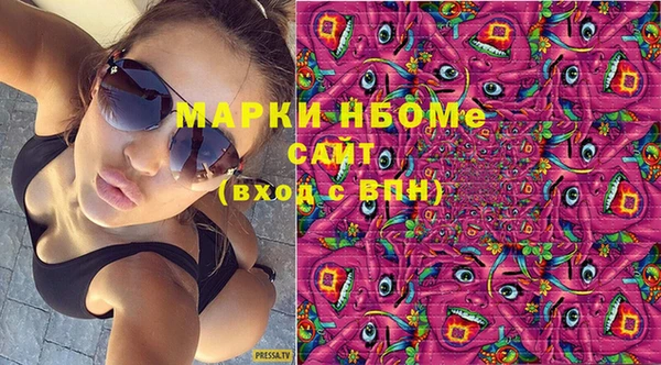 индика Бугульма