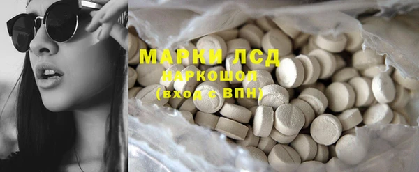 индика Бугульма