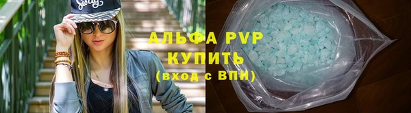 индика Бугульма