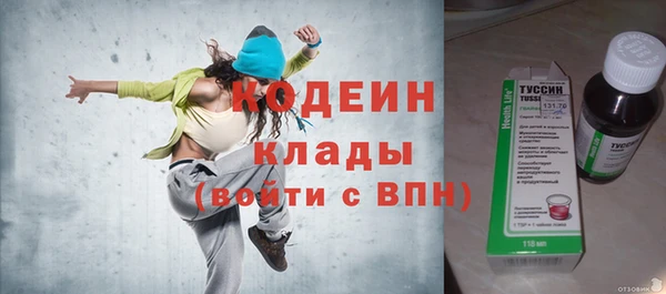 индика Бугульма