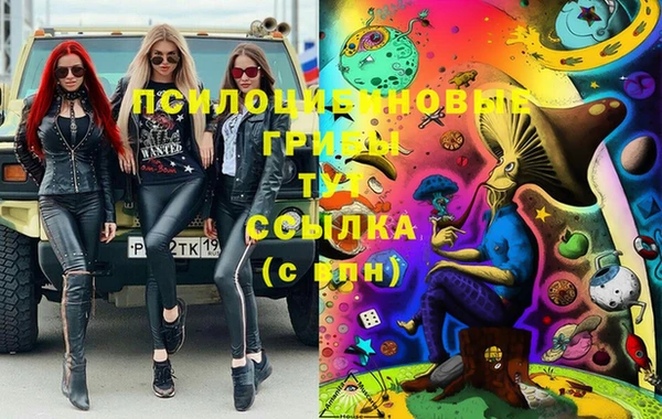 ПСИЛОЦИБИНОВЫЕ ГРИБЫ Бронницы