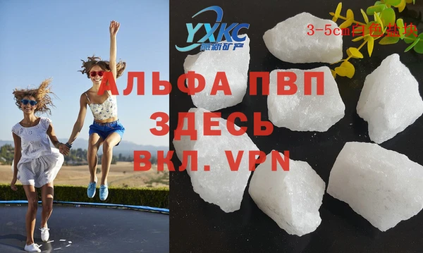 индика Бугульма