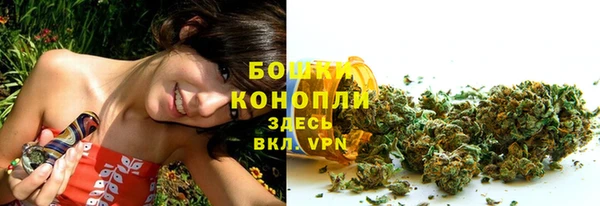 ПСИЛОЦИБИНОВЫЕ ГРИБЫ Бронницы