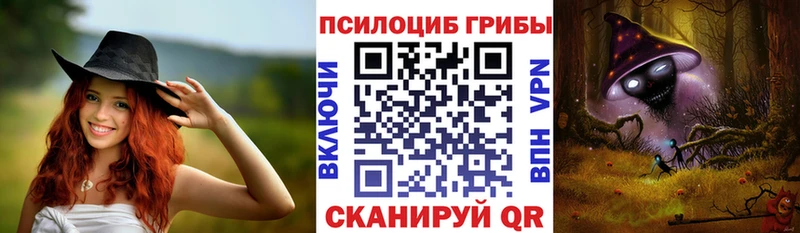 купить наркотики сайты  Мончегорск  Галлюциногенные грибы Psilocybe 