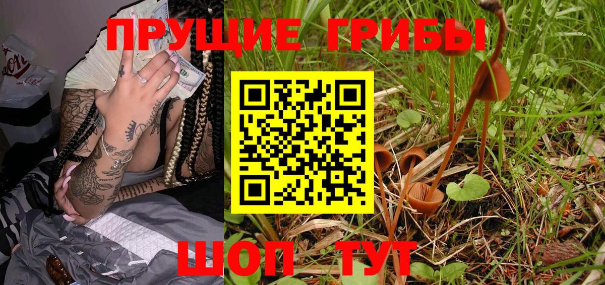 цены наркотик  Вход с VPN  Мончегорск  Псилоцибиновые грибы GOLDEN TEACHER 